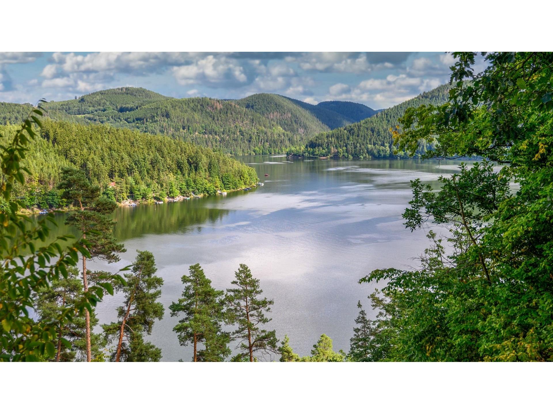 Natur in der Nähe