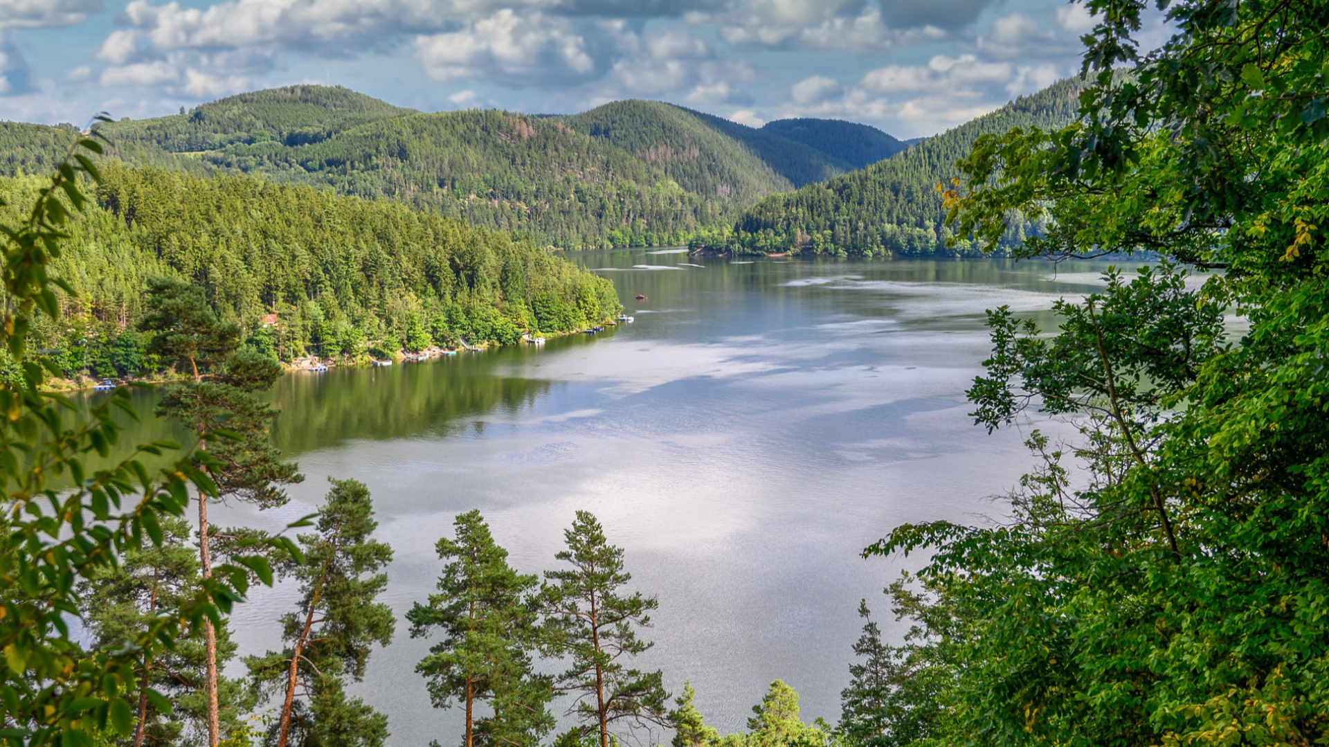 bewusst natur GmbH - Header 2